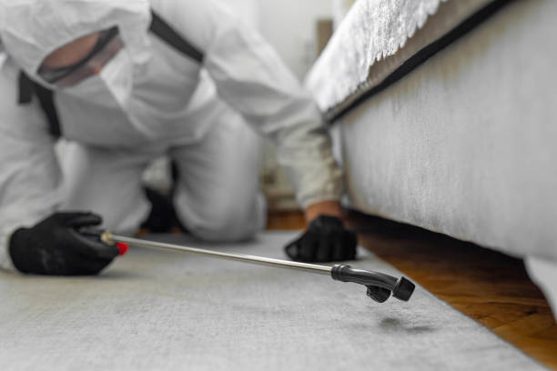 Professional Bed Bug Control technician working in Krugerville, TX