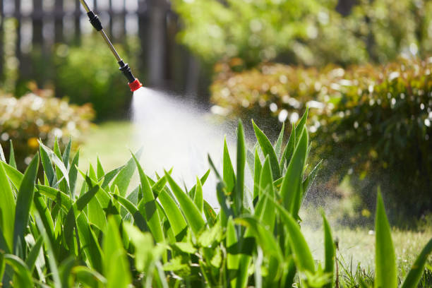 24/7 Emergency Bed Bug Control experts in Krugerville, TX
