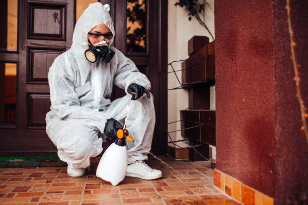 Reliable Bed Bug Control contractor in Krugerville, TX by Nex Pest Control